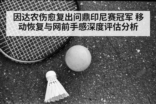 因达农伤愈复出问鼎印尼赛冠军 移动恢复与网前手感深度评估分析 - kaiyun